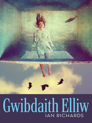 cover image of Gwibdaith Elliw